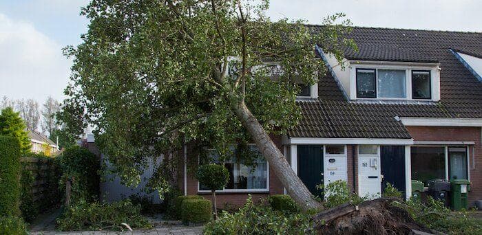A tree falling on a house